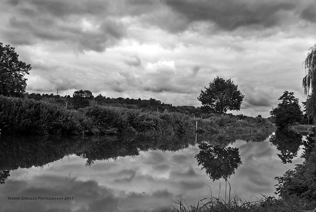 Reflections on River Wey - Explored 4 September 2011