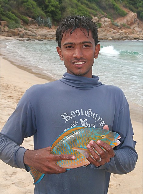 Fisherman with Parrot Fish at Manayaweli Bay, Trincomalee, Sri Lanka