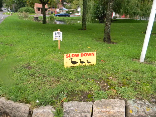 Duck signs. N Waltham Overton Circular