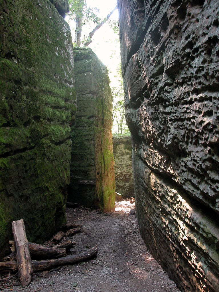 Red Cedar Trail