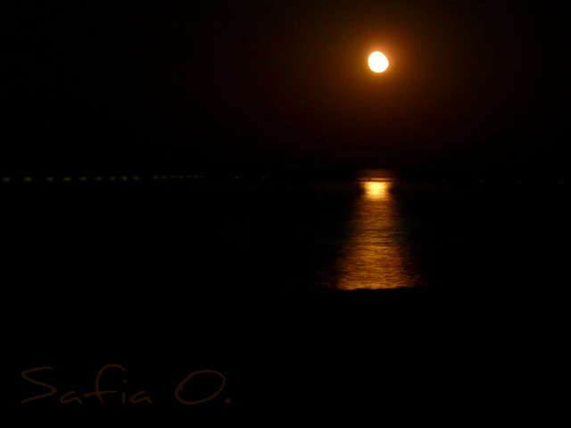Orange moon - Egypt