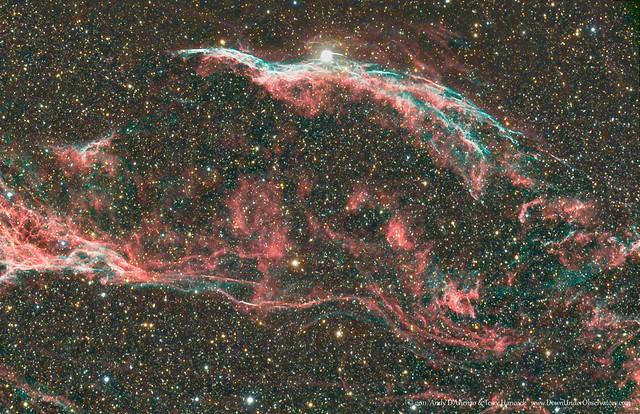 CCD DSLR Collaboration Veil Nebula *Explore*