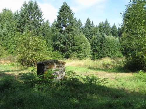 an old water source