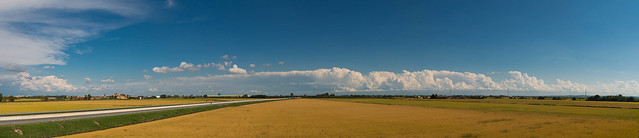 Panorama from Larizzate's rice fileds