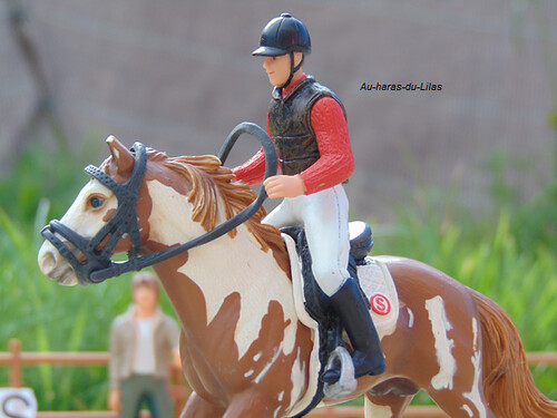 Thomas et Eclipse | by Haras du Lilas