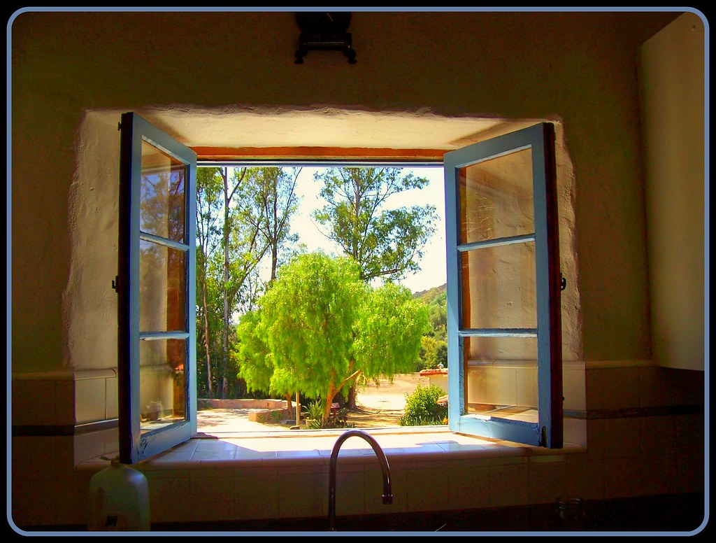 Looking Out the Kitchen Window ~ Leo Carrillo Ranch, Carlsbad, CA