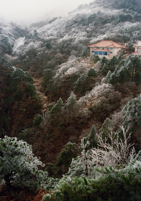 Frosty morning--Huangshan , Anhui Province , China