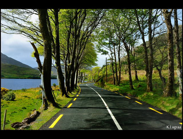 Irish fairy road