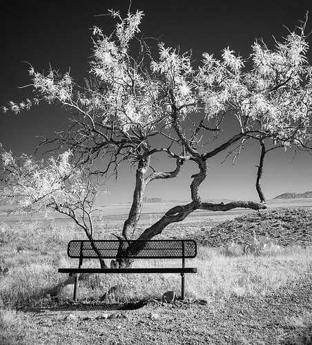 arizona usa bench ir bank az mesquite infrared cochisecounty whetstonemountains karchnercavernsstatepark irstrahlung infrarotstrahlung foothillslooptrail apacheria