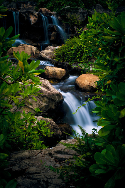 the wetland park waterfall