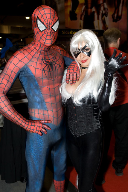 Spider-Man and the Black Cat