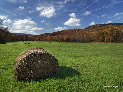 Fall Field - Buffalo Wilderness Area | by Luke Beuterbaugh
