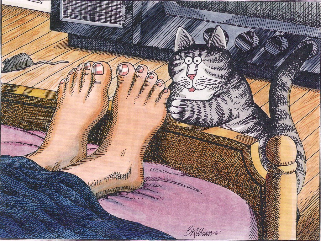 Kliban Cat Tickling Feet.