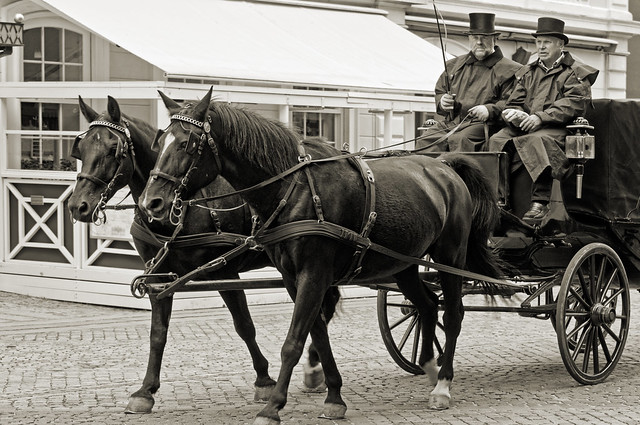 Denmark - Roskilde - Horse and Carriage