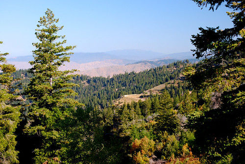 trees mountains fall nature landscapes scenery resort idaho pines bogusbasin nearboise