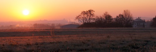 sunrise dawn farm