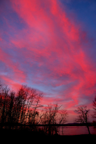 blue trees sunset red ny newyork silhouette liberty freedom depression libertarian fishhouse mentalillness secondamendment 2ndamendment drb usconstitution greatsacandagalake gadsdenflag broadalbin garyjohnson gadgetguru darronbirgenheier darronrbirgenheier bipolarphotographer