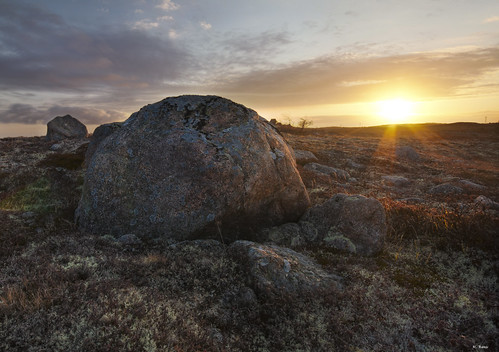 sky sun canada rock sunrise newfoundland landscape moss barren butterpotpark