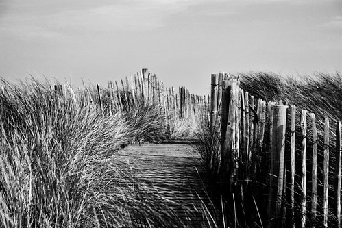Sand Dunes | by richard39a