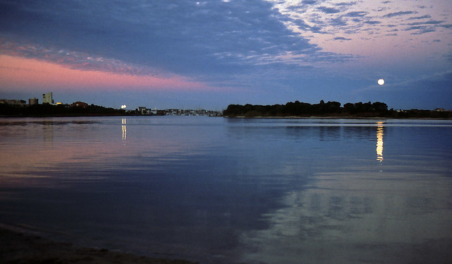 Mooloolah River evenings, 1989