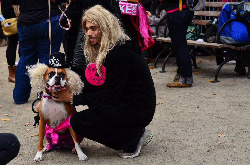 Halloween Dog Parade | Pageant Dog and Pageant Mom 21st Annu… | Flickr