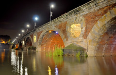 Pont neuf de Toulouse (hdr)