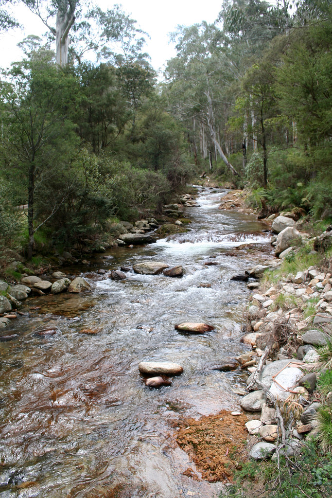20111022_1572 Leatherbarrel Creek