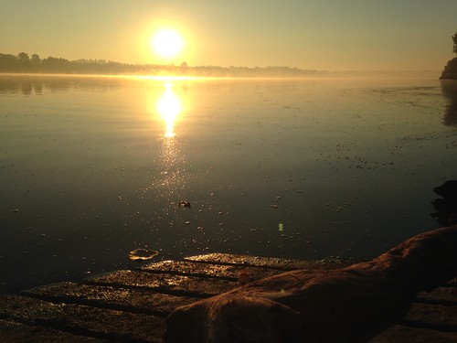 morning mist lake ontario london sunrise outdoors early fanshawe fanshawelake
