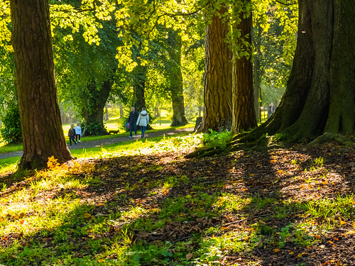 autumn trees sunshadows wallacepark