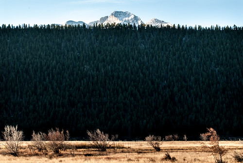 RMNP | by The Days Divinity