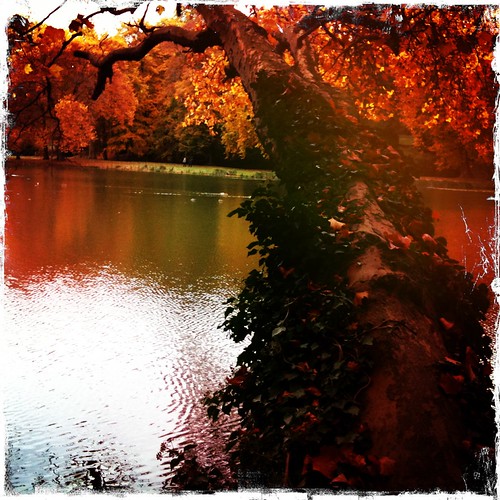 Ermenonville - couleurs d'automne 1 by Frivolity2501,
