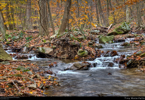 fall nature rural creek forest waterfall moss woods october rocks stream country scenic maryland environment hdr alleganycounty tributary mountsavage canont1i