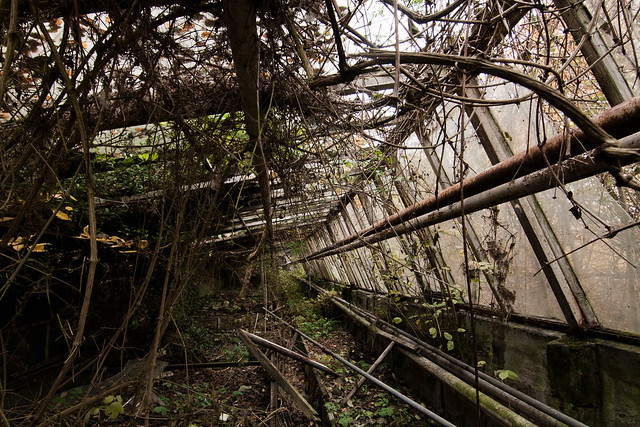 Strnadovy zahrady (abandoned gardens) | now demolished :(