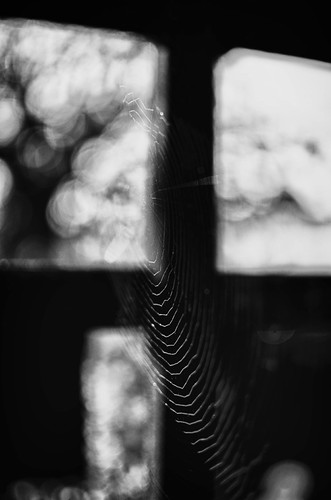 Web plus bokeh | by Mark J Hall