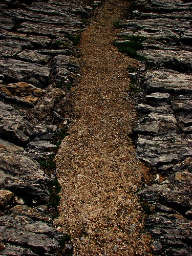 Narrow Path | by Jodi:)