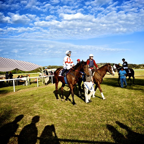 horseracing grenfell 2011 centralnsw