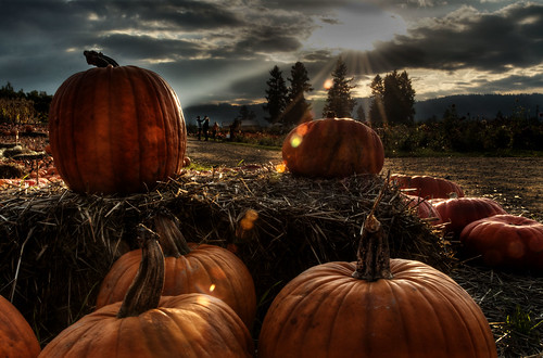 pumpkin touch | e christopher drake | Flickr