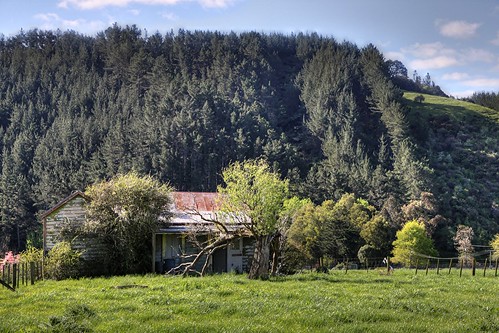 old newzealand house building abandoned home farmhouse rural decay farm cottage pasture waikato derelict dilapidated deterioration oldandbeautiful oncewashome scotsmansvalley scotsmanvalley