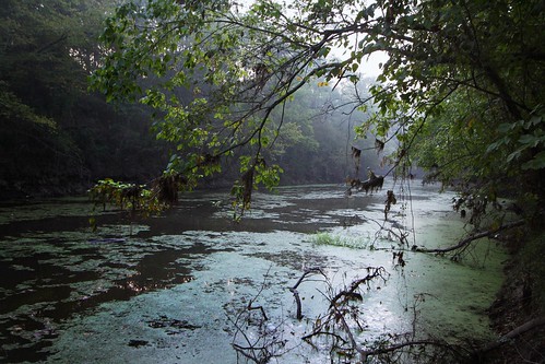 morning trees nature water landscape louisiana bayou batonrouge waterway kleinpeter canonefs1022mmf3545usm 22mm mrgreenjeans gaylon gaylonkeeling