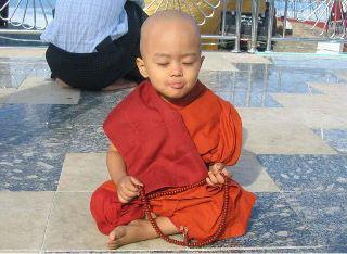 Pequeño monje meditando niño buda | "http://hermandadblanca.… | Flickr