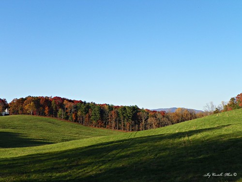 autumn trees mountains color fall georgia fallcolor hills fields greenfield gilmercounty