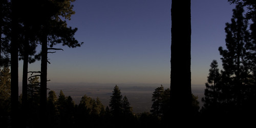 trees forest sunrise canon table desert angeles top national campground 1740mm anf anglesnationalforest