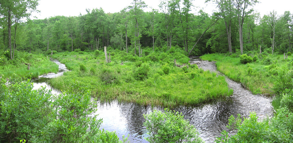 Butler Run Trail