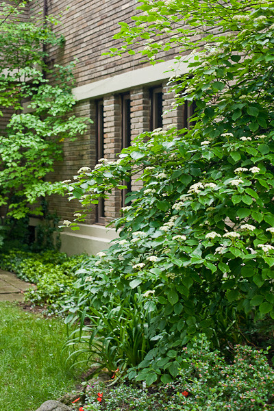Inner Courtyard, Bogk House, Frank Lloyd Wright architect