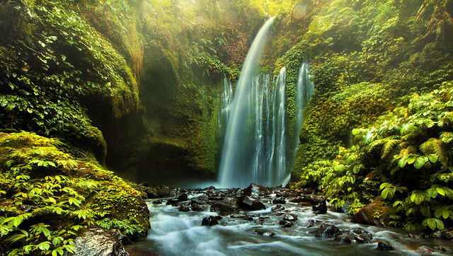 A Dazzling Waterfall