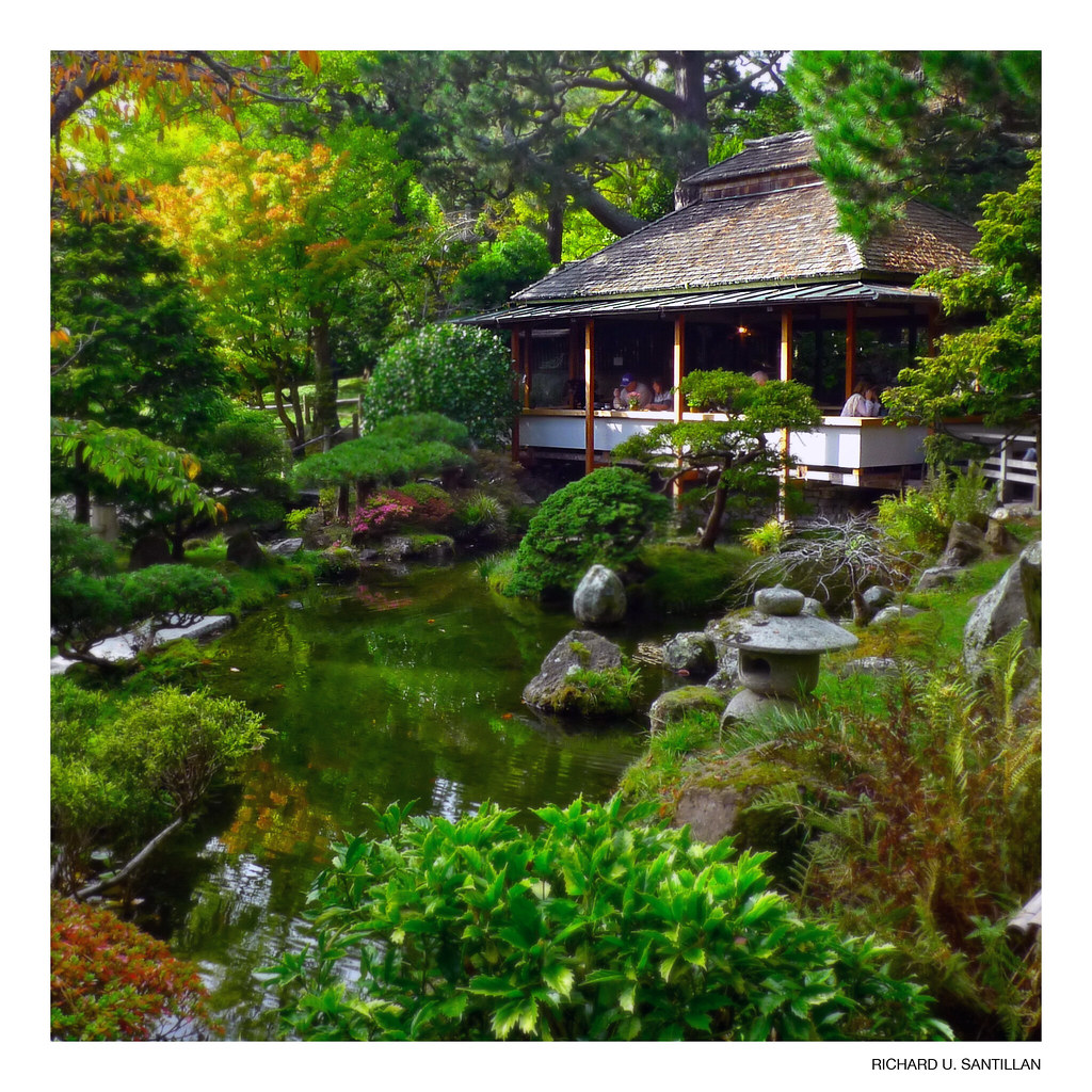 Japanese Tea Garden, Golden Gate Park, San Francisco, Ca. | Flickr