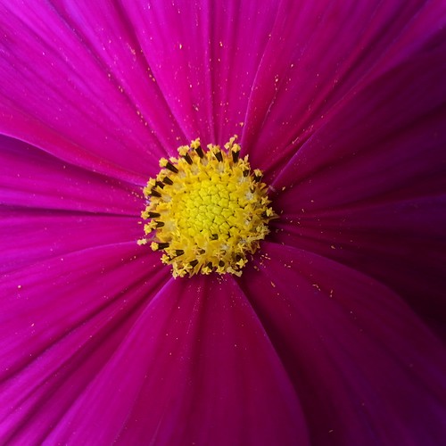 IMG_20150905_143638 | by robert.svihlik