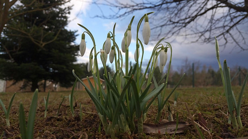 Frühling? | by Sandsteiner