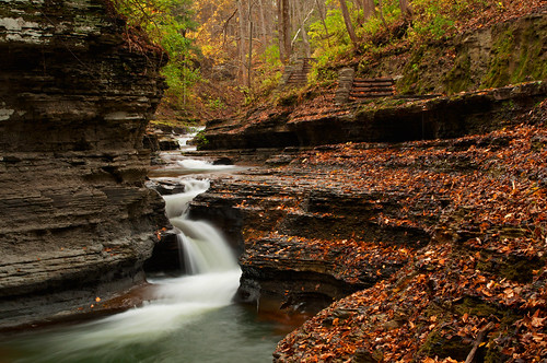DSC_8724 | Buttermilk Falls SP, Ithaca NY | Jim Shanks | Flickr