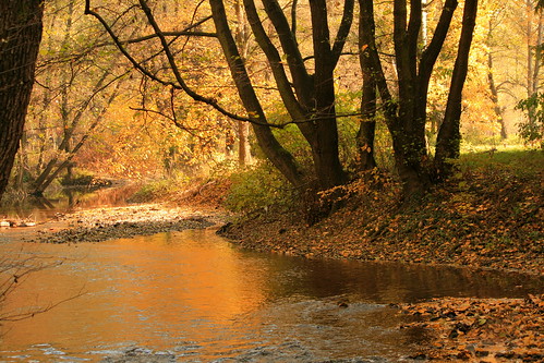 park city autumn trees red green fall water colors yellow canon reflections river gold golden sunny pd slovensko slovakia palo bartos nitra rieka stromy jesen jeseň prievidza platinumheartaward bartoš